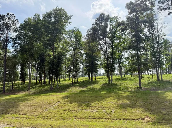LOT 72 Western Rd Lot 72, Livingston, TX 77351
