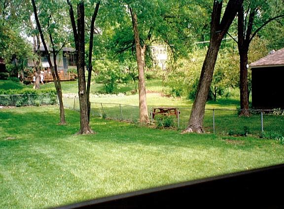 Backyard$