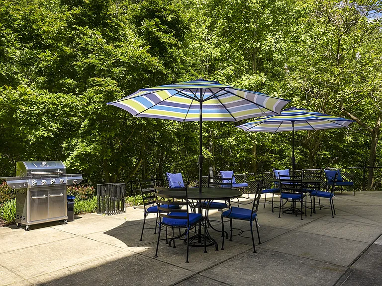 Chestnut Oaks, 55+ — Photo 25