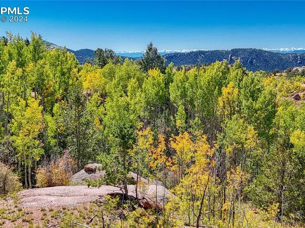 288 Wildhorse Rd, Cripple Creek, CO 80813