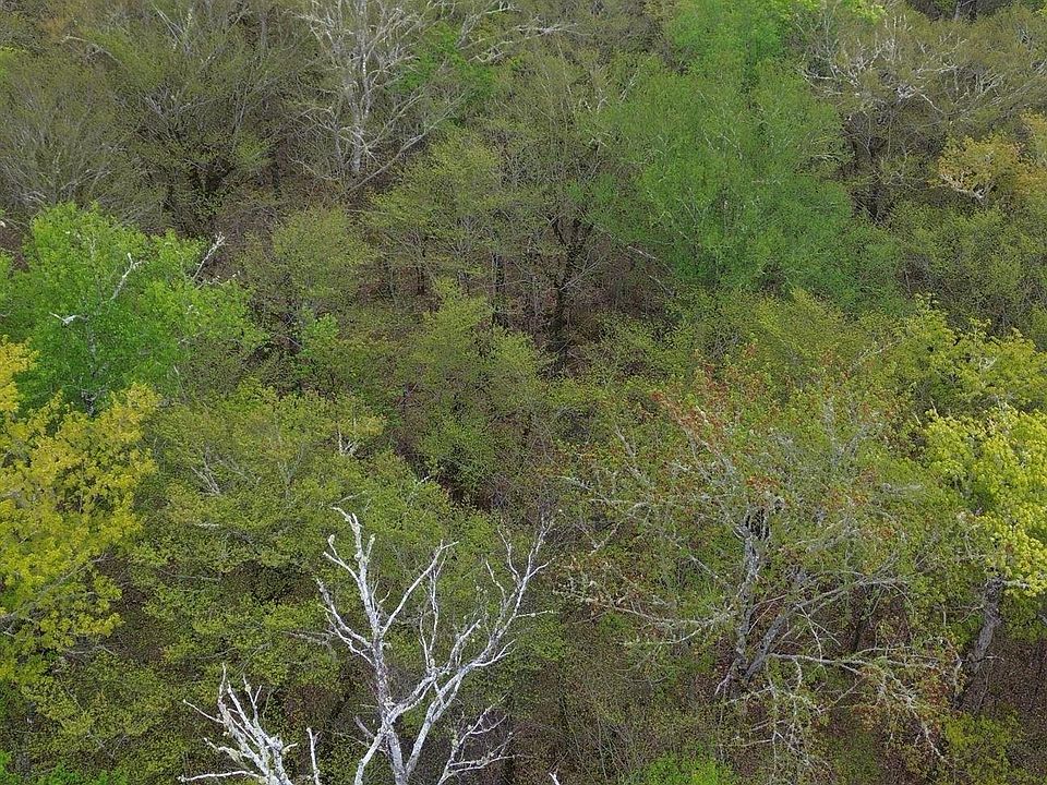 2nd image of 46 Turner Point Rd