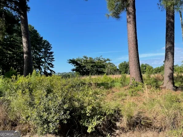 2215 Railroad Bed Rd, Brooklet, GA 30415