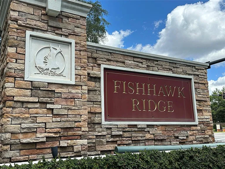 15816 Fishhawk View Dr — Photo 29