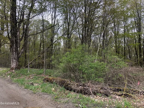 6 Watson Rd, Hinsdale, MA 01235