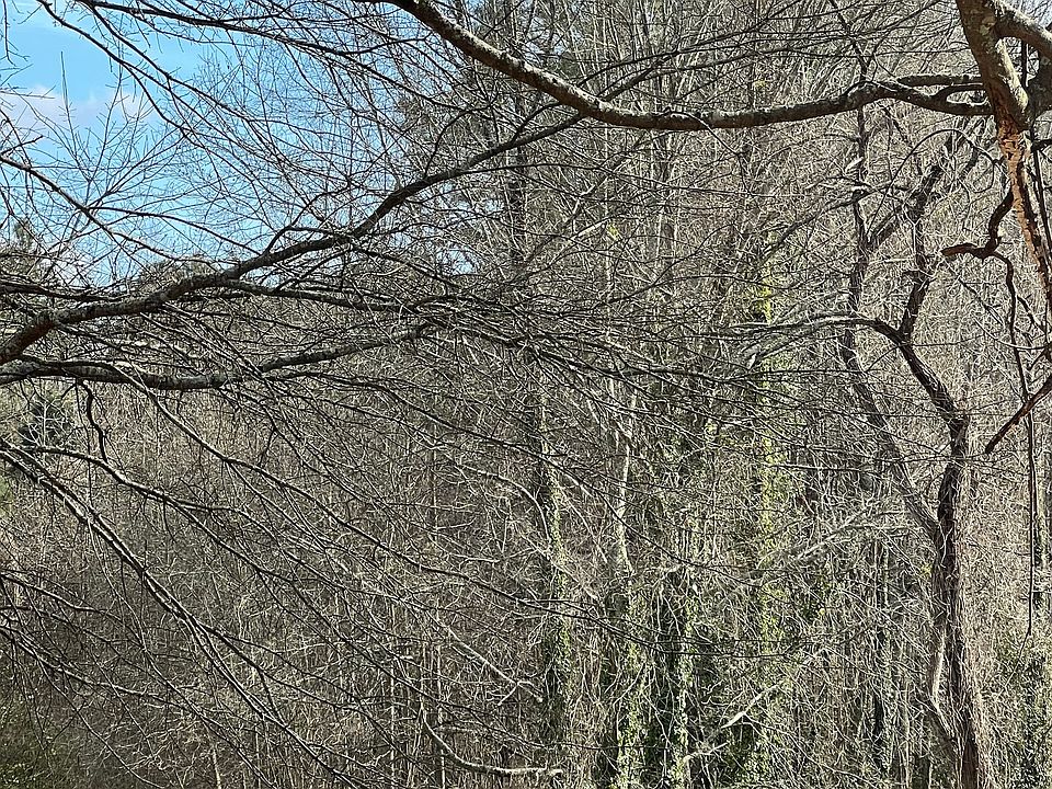 2nd image of 98 Pine Shadows Dr