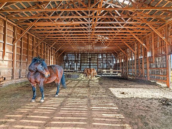 4th image of 279 Primrose Rd