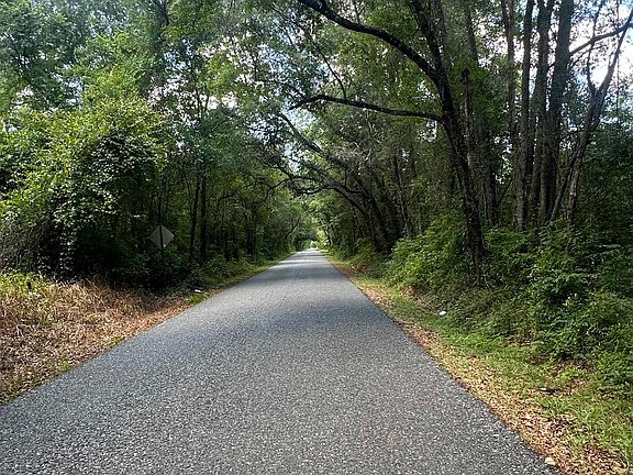 2nd image of 1001 Backforest Ln