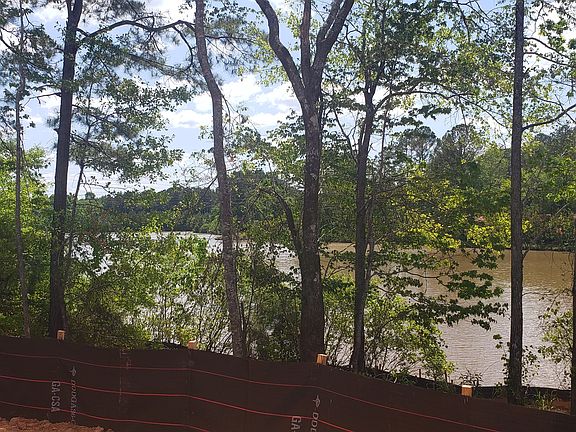 View from Back Porch