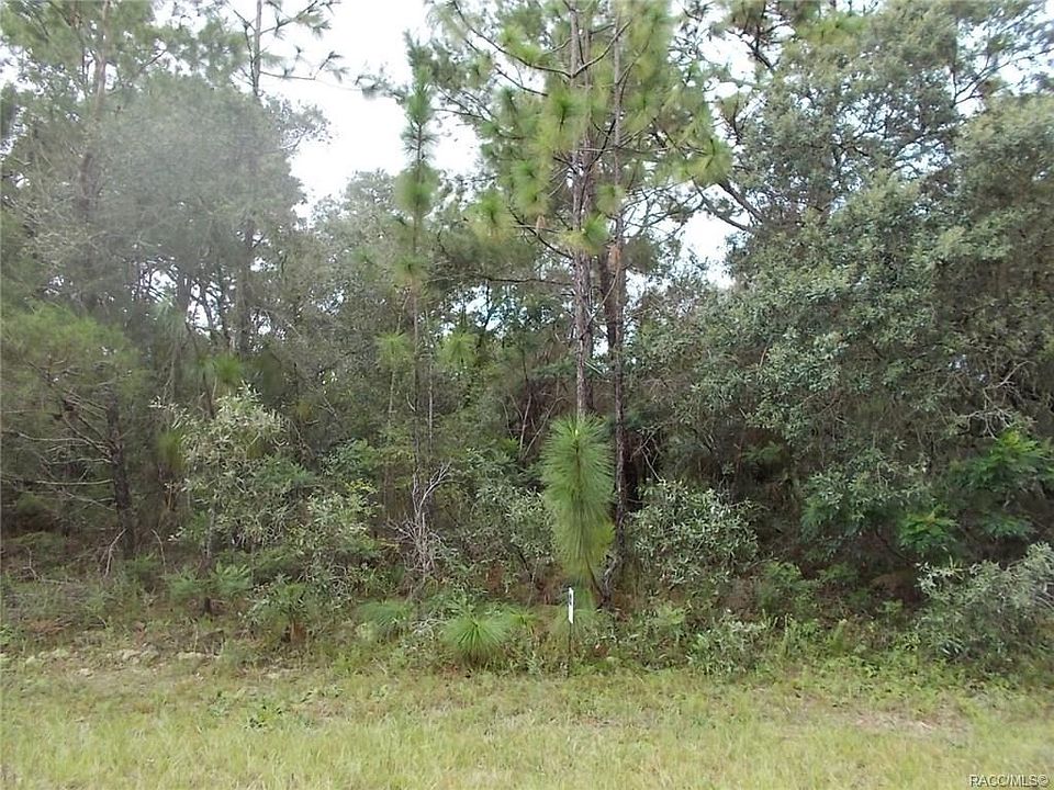 1st image of 10803 N Haitian Dr