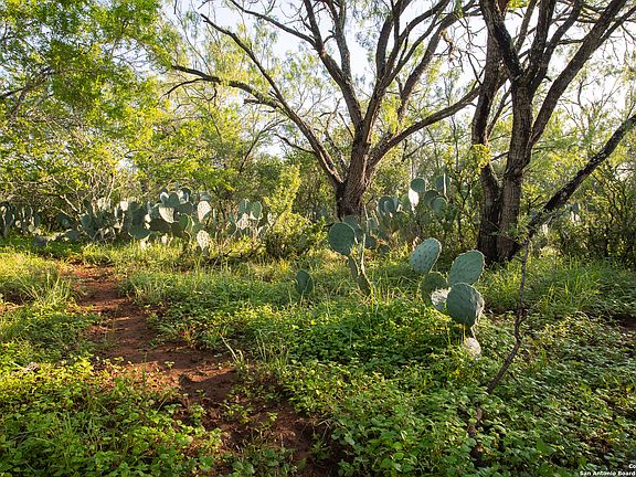2nd image of 000 County Road 300