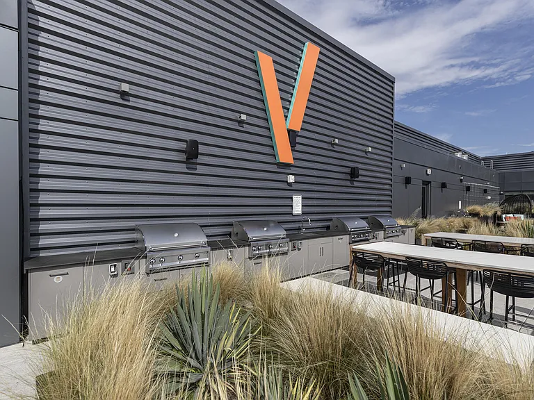 Verge — Photo 22
