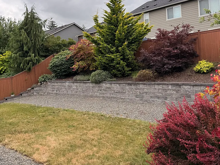 backyard with automatic irrigation