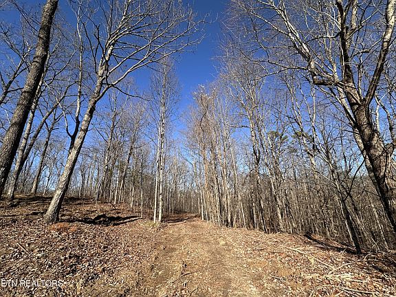 5th image of 1453 Pickett Park Hwy