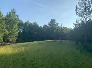 90th Ave, Evart, MI 49631