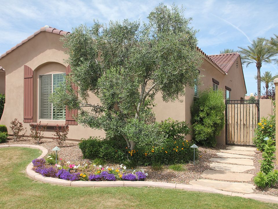 1st image of 3854 E Cedar Dr