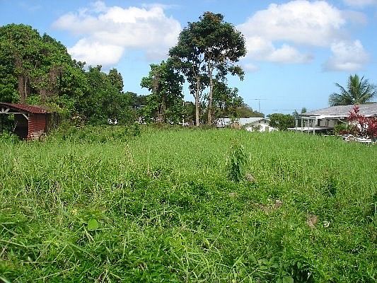 2nd image of Laula Rd Lot 20