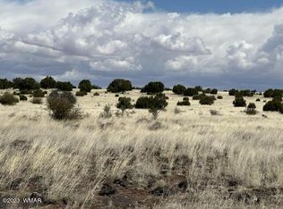 1 Windsor Valley Rnch, Concho, AZ 85924