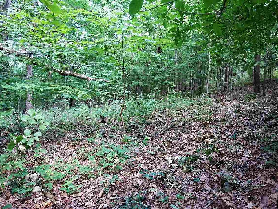 1st image of 0 Nancy Ave Lot 4D-5D
