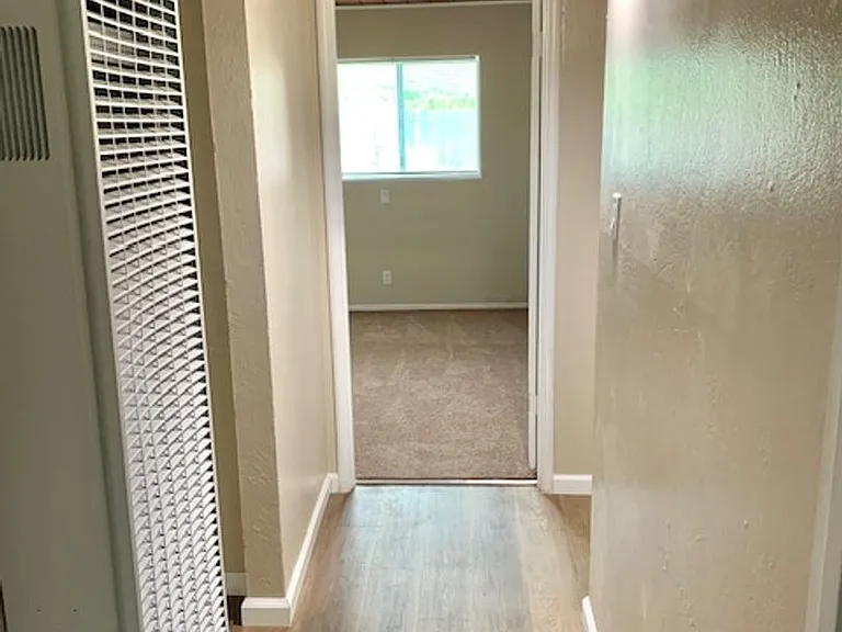 4409 Jenkins Way — Photo 9