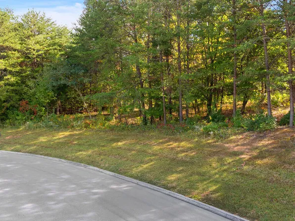Red Wing Dr, Vonore, TN 37885