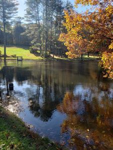 4125 Peaks Mountain Rd, Galax, VA, 24333