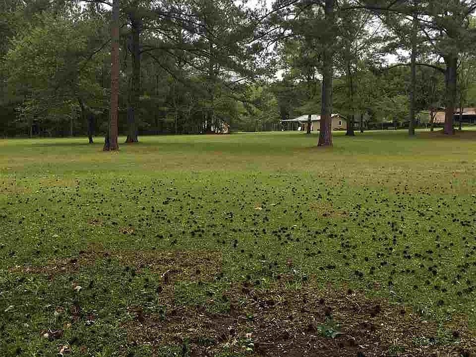 1st image of 173 McDowell Ln