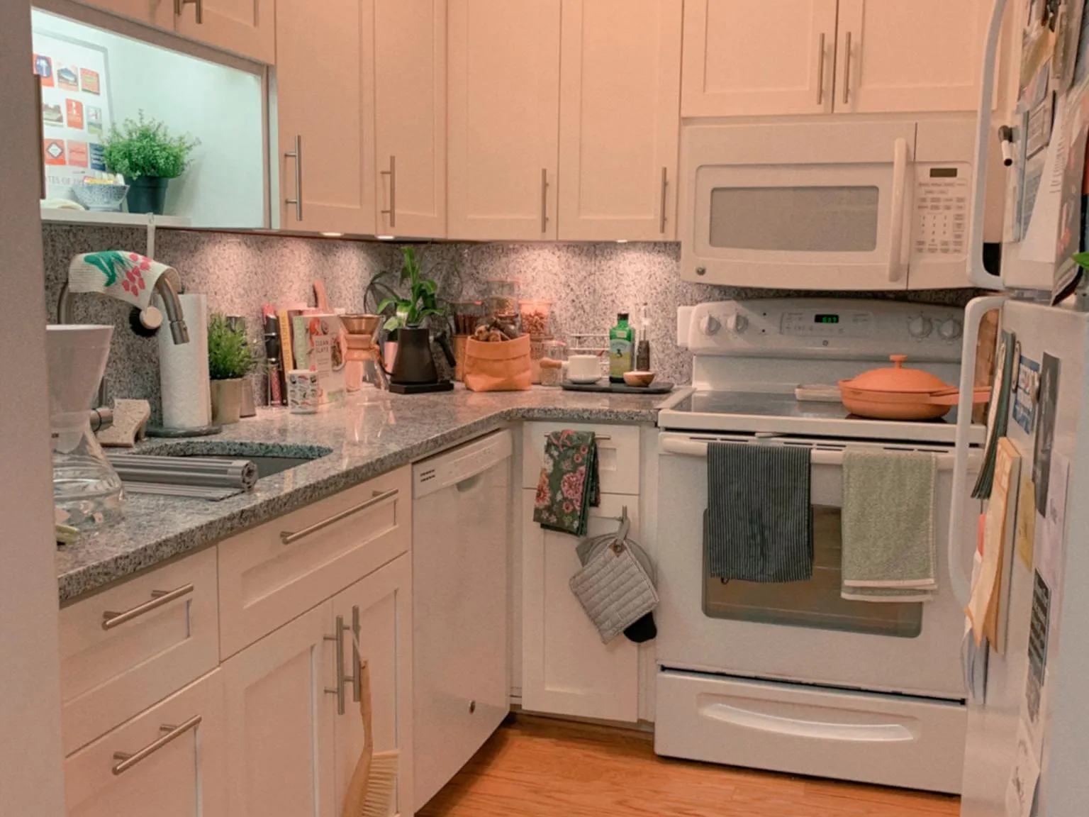 1 bed, 741 sqft, $1,650 — Photo 3