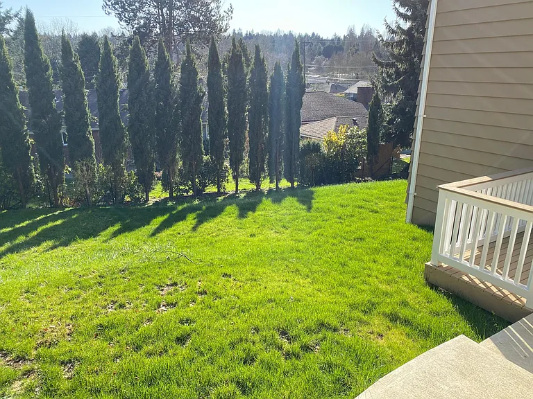 Large back yard