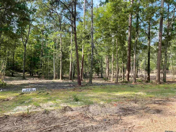 8177 Hepzibah Rd, Clinton, LA 70722