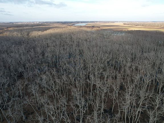 Dji Fly 20260216 163726 105 1771281729607 Photo