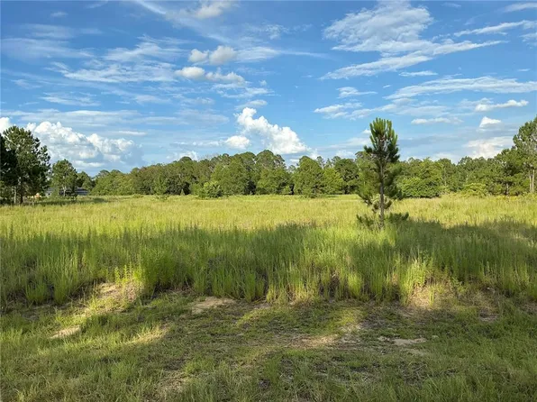 Maple Lane Way Lot 15, Ocklawaha, FL 32179