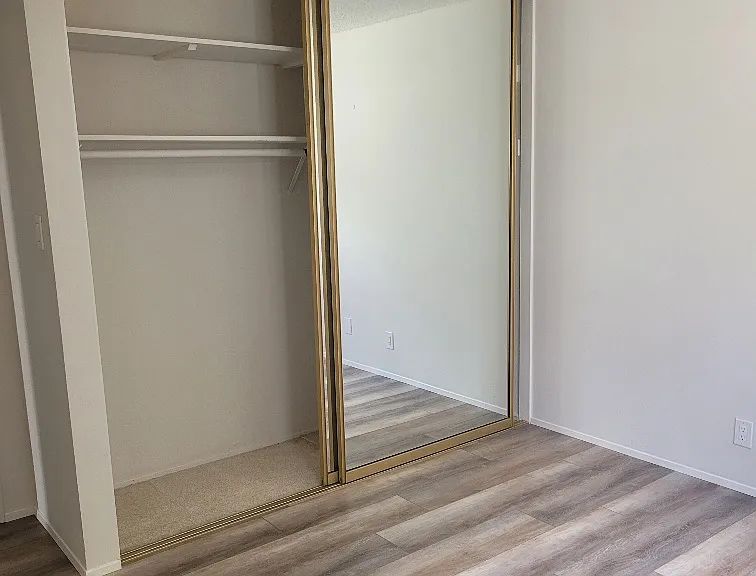 Mirrored Closet Doors
