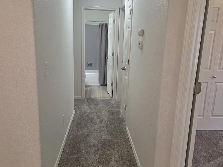 920 Cove Arm Cir — Photo 7