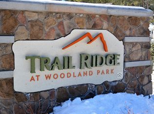 704 Stone Park Ln #924-103, Woodland Park, CO 80863