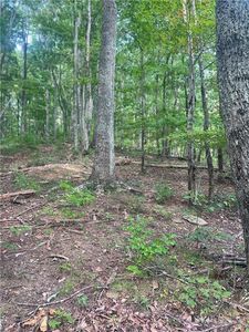0 Folkstone Rd Lot 20, Talking Rock, GA, 30175