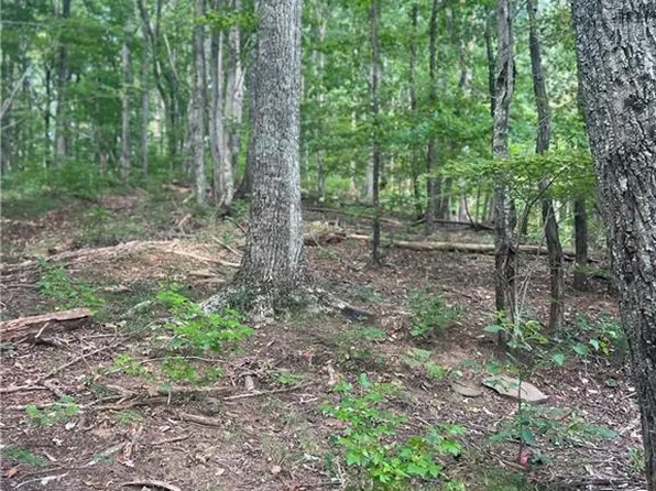 0 Folkstone Rd Lot 20, Talking Rock, GA 30175