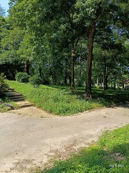 2909 County Road 214 — Photo 9