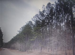 424 Bainbridge St, Bainbridge, GA 39819