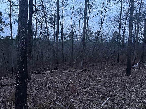 2nd image of 135 Big Chief Rd