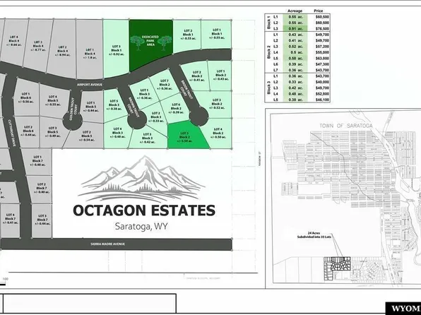 116 Brook Trout Ct, Saratoga, WY 82331