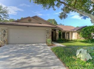 1738 Shady Leaf Dr, Valrico, FL 33596