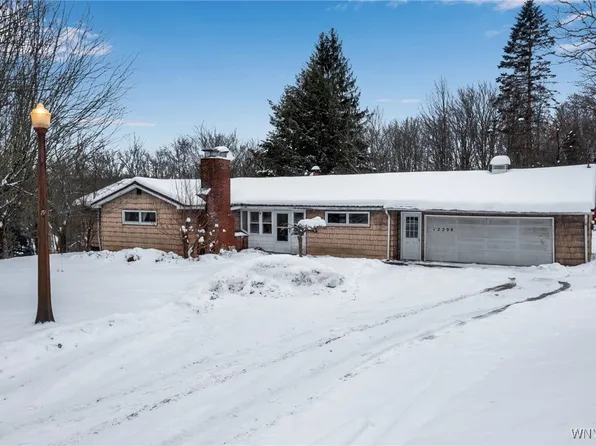 12298 Townsend Rd, Springville, NY 14141