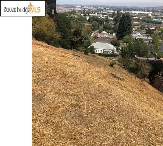 2nd image of Buena Vista Ave