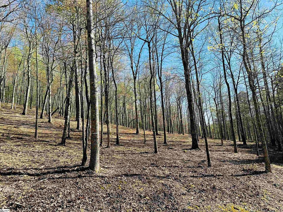 2nd image of 2 Buck Creek Trl