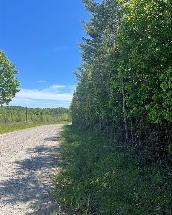 2nd image of 0 Palmer Rd Tract 1