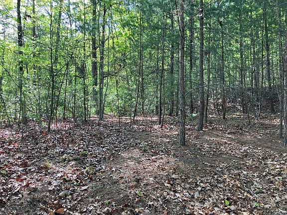 5th image of 24 Mission Ridge Ct Lot 24