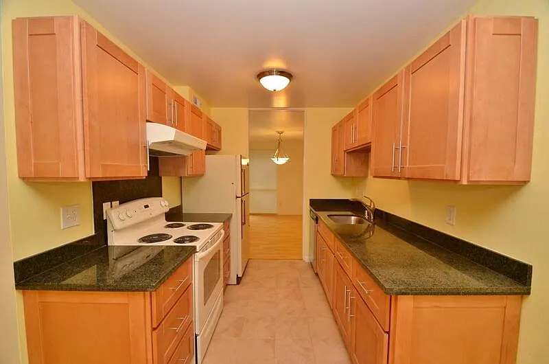 3 bed, 1.5 bath, 1440 sqft, $3,995 — Photo 4