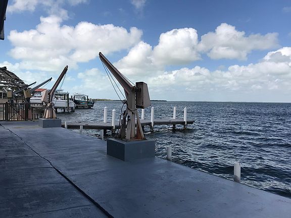 dockage