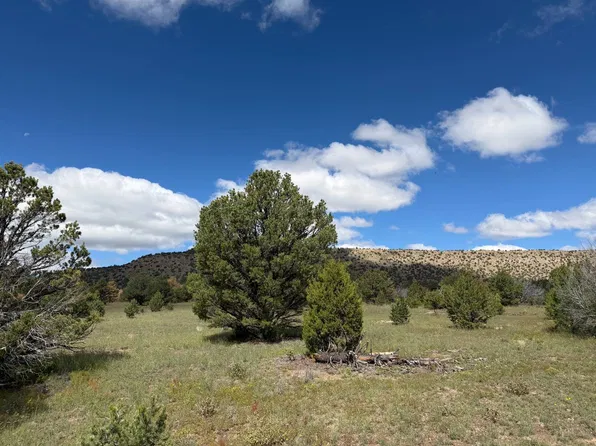 1&6 Twin Buttes Dr, Datil, NM 87821