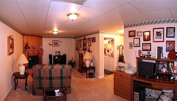 Den in Basement